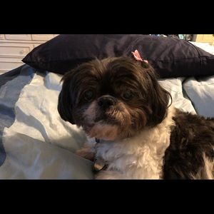 Meet your Posher, April